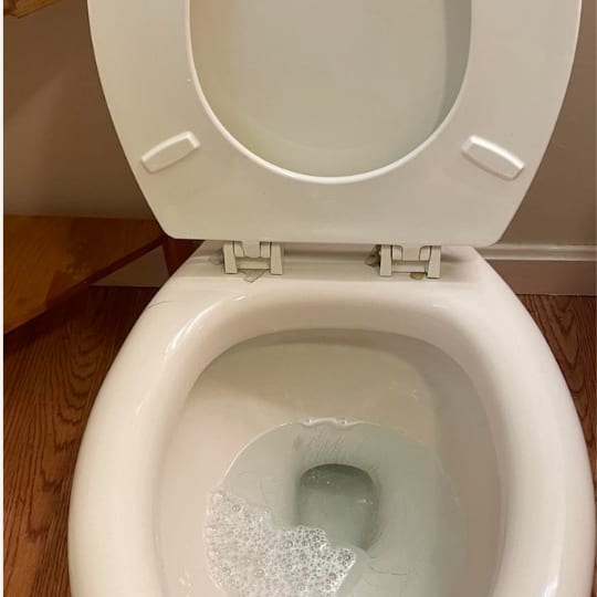 Toilet Bowl after cleaning by Clean and Pristine